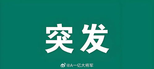 韵一敲的可爱主贴 探索新浪股市汇中的财经智慧与中购投资策略